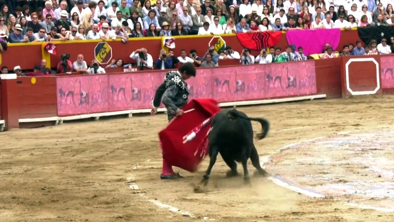 Corte de Perú rechaza prohibir corridas de toros y peleas de gallos