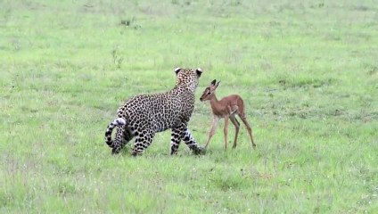구로출장서비스 구로출장서비스O1OE9914E7203｛카톡DDD22｝ 구로출장마사지샵 구로출장안마on구로출장안마cos여3♪⇔∃마사지황형♥≧≪