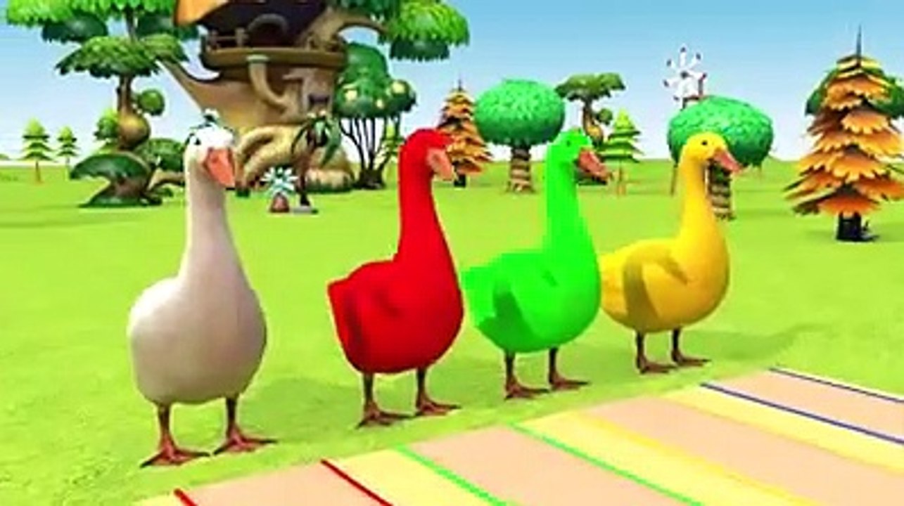 Duck Video for Kids video Dailymotion