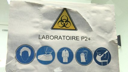 Në SHBA testohet vaksina! Rezultatet do të shihen vetëm në muajin gusht, 25 Shkurt 2020