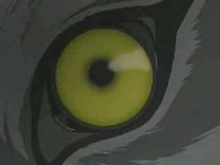 AMV Wolf's Rain et Macross Plus