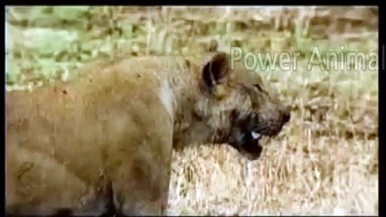 의왕출장서비스 의왕출장서비스O1Og4832g2166｛카톡QQ565｝ 의왕출장마사지샵 의왕출장안마on의왕출장안마cos여3♪⇔∃마사지황형♥≿≪