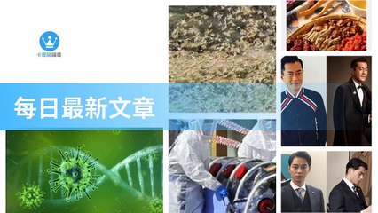 ck101daily_curation-ck101.com.daily|ck101daily_curation_desktop_bottom-copy4-Ck101FeedParser-2020/02/26-11:22