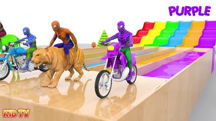 Descargar video: Learn Colors and Nursery Rhymes - Learn Colors with Spiderman Rides Street Vehicles and Animals Crossover Water Slide for Kids