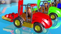 Kids Funny Cartoon - Learn Colors Learn Animals and Vehicles with Slide Indoor Playground Fun Cartoon for Children