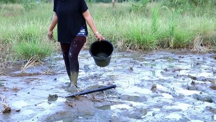 Amazing Fishing Technique In Battambang Traditional Fishing (part 015)