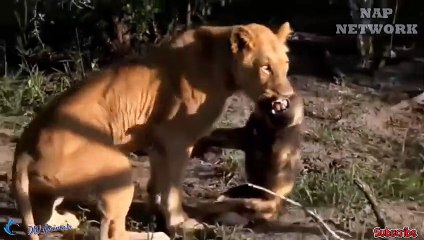 목포출장서비스 목포출장서비스O1Og2143g9131｛카톡VAS66｝ 목포출장마사지샵 목포출장안마on목포출장안마cos여3♪⇔∃마사지황형♥≍≪