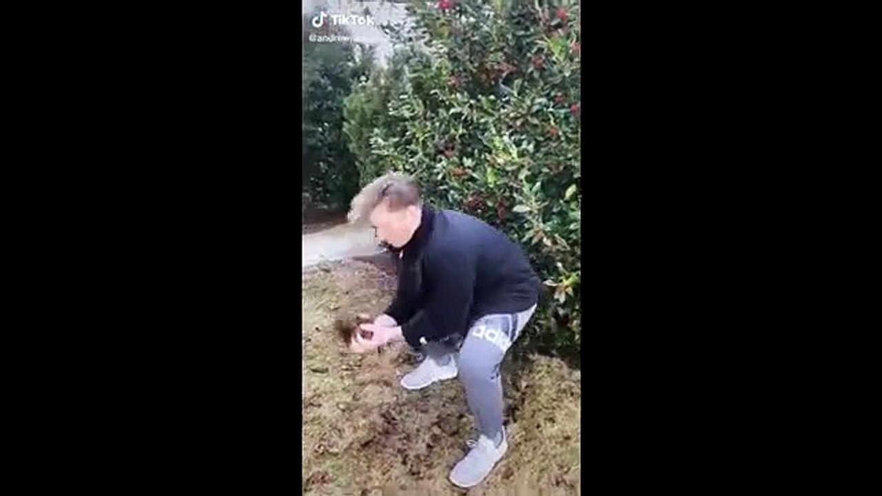 Tiktok 2020 - Best funny videos ever - Ali Studio Gala