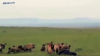 수영추천업소【OI0↔29O8↔68O③】수영추천업소예약♥◪≪