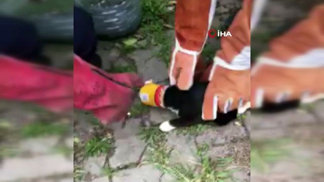 Kafası konserve kutusuna sıkışan kediyi itfaiye kurtardı