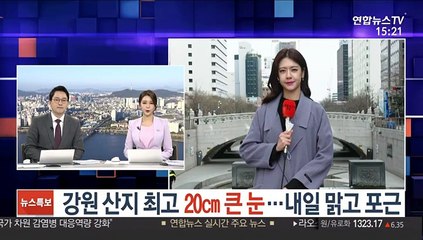 [날씨] 강원 산지 최고 20㎝ 큰 눈…내일 맑고 포근