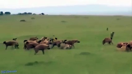 월곶출장서비스 월곶출장서비스O1OE9914E7203｛카톡DDD22｝ 월곶출장마사지샵 월곶출장안마on월곶출장안마cos여3♪⇔∃마사지황형♥◑≪