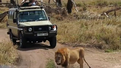 영양출장서비스 영양출장서비스O1OE9914E7203｛카톡MOK8｝ 영양출장마사지샵 영양출장안마on영양출장안마cos여3♪⇔∃마사지황형♥◨≪