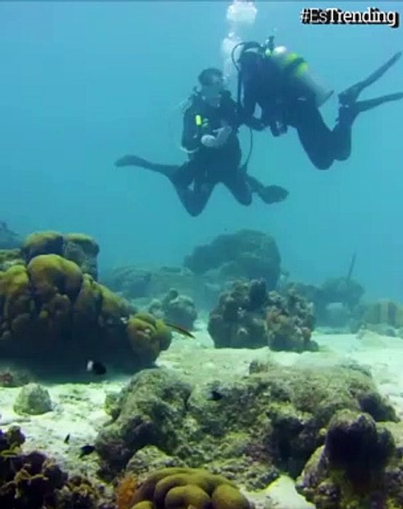 Hombre le propone matrimonio a su novia nueve metros bajo el agua en el mar Caribe