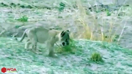 연천출장서비스 연천출장서비스O1OE6579E3382｛카톡RMB7｝ 연천출장마사지샵 연천출장안마on연천출장안마cos여3♪⇔∃마사지황형♥≣≪