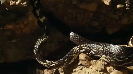 의령출장서비스 의령출장서비스O1Og2154g6609｛카톡LOT45｝ 의령출장마사지샵 의령출장안마on의령출장안마cos여3♪⇔∃마사지황형♥◝≪