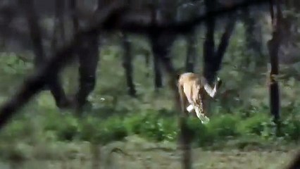 경주출장서비스 경주출장서비스O1OE6579E3382｛카톡VS67｝ 경주출장마사지샵 경주출장안마on경주출장안마cos여3♪⇔∃마사지황형♥◮≪