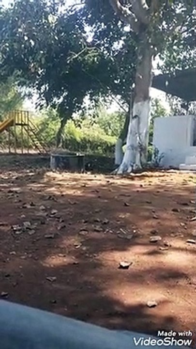Lord's shiv Temple