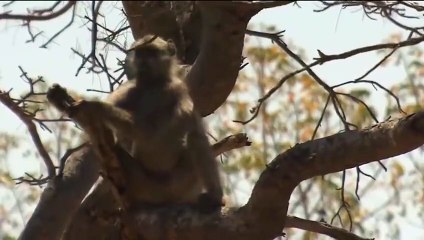 사천출장서비스 사천출장서비스O1Og2154g6609｛카톡LOT45｝ 사천출장마사지샵 사천출장안마on사천출장안마cos여3♪⇔∃마사지황형♥≙≪