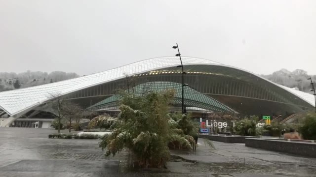 Chutes de neige à la gare des Guillemins à Liège