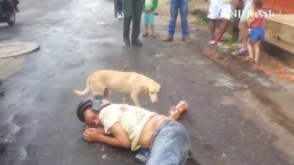 This video will melt your heart || সবার সামনে কুকুরটি যা করলো তা বিশ্বাস করতেও কষ্ট হবে আপনার !