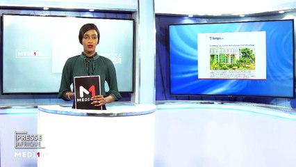 Presse Afrique - 26/02/2020