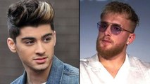 Zayn Malik & Jake Paul: What ACTUALLY Happened & WHY Gigi Hadid Got Involved
