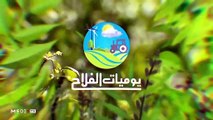 يوميات الفلاح - 26/02/2020
