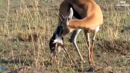 동래출장서비스 동래출장서비스O1Og2118g2518｛카톡KFC49｝ 동래출장마사지샵 동래출장안마on동래출장안마cos여3♪⇔∃마사지황형♥∑≪