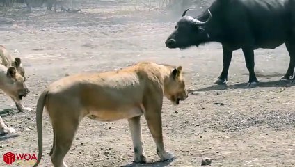 의령추천업소【OI0↔29O8↔68O③】의령추천업소예약♥◛≪