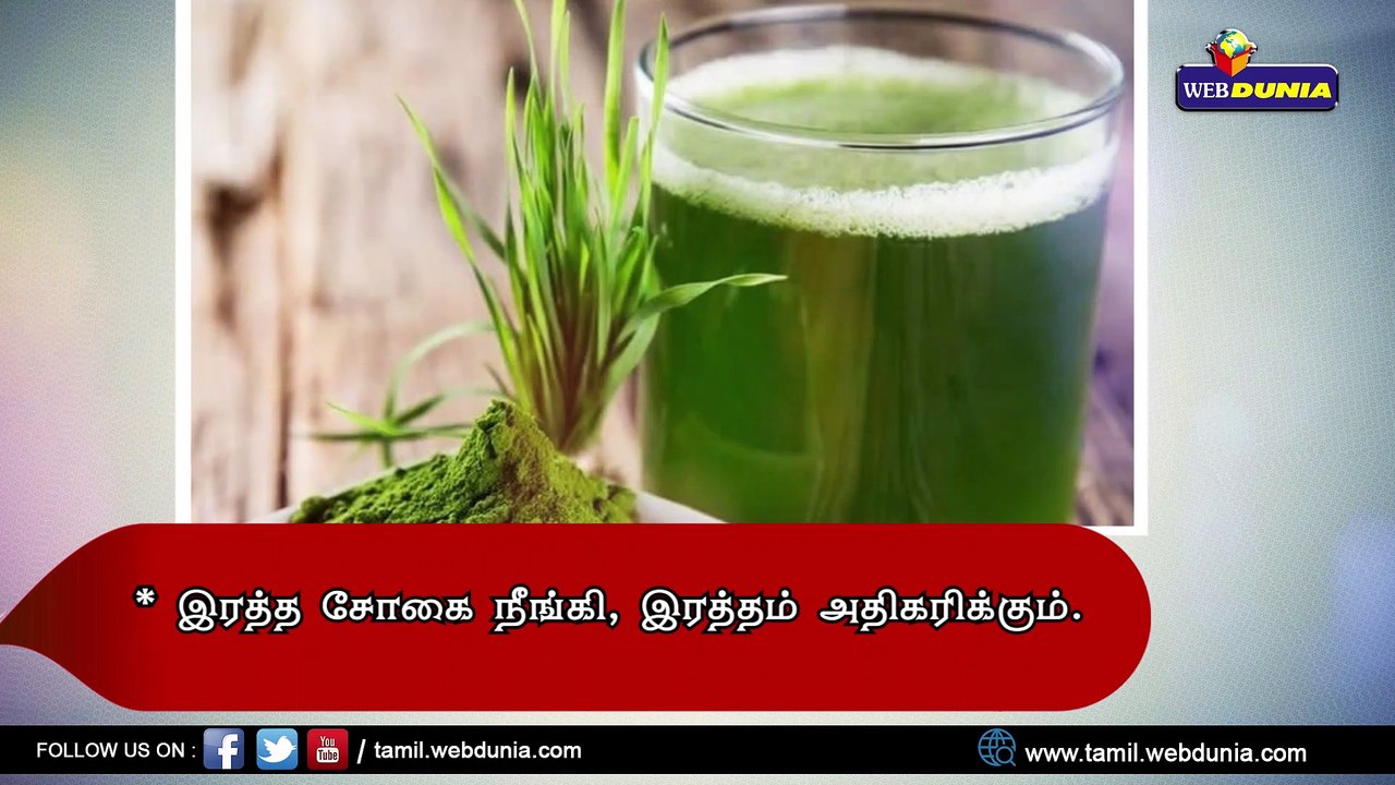 அருகம்புல் சாற்றின் பலன்கள்...!!