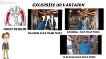 HOW MANY MUSCLES IN SHOULDER | EXERCISE & VARIATION FOR SHOULDER MUSCLES| SCIENTIFICALLY.