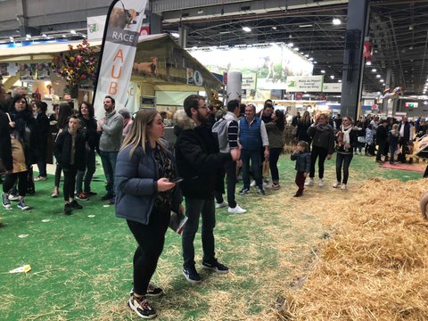 Pauline et Siméon au Salon de l'agriculture 2020 : les moutons