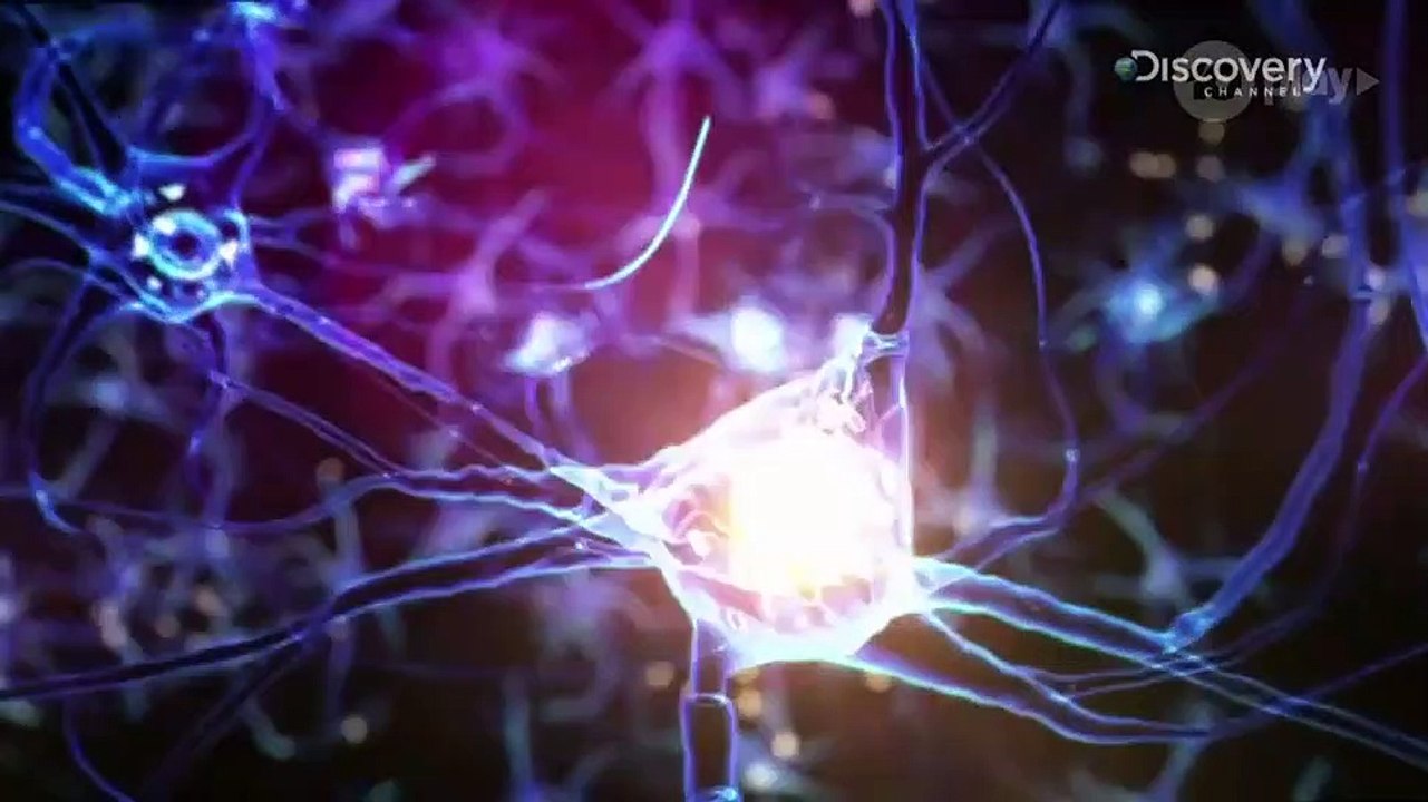 Gogglebox Australia - S10E04 - September 4, 2019 || Gogglebox Australia (9/4/2019)