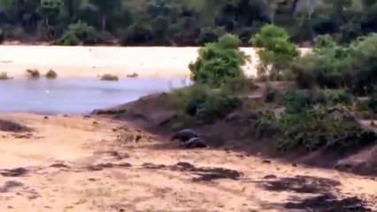 경산출장서비스 경산출장서비스O1OE6683E6402｛카톡GMC3 라인gmc3｝ 경산출장마사지샵 경산출장안마on경산출장안마cos여3♪⇔∃마사지황형♥∎≪