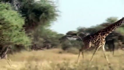 양천추천업소【OI0↔29O8↔68O③】양천추천업소예약♥≣≪