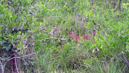 양천출장서비스 양천출장서비스O1Og4838g4959｛카톡SBS52 라인VPN58｝ 양천출장마사지샵 양천출장안마on양천출장안마cos여3♪⇔∃마사지황형♥∏≪