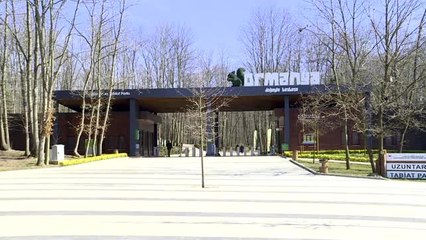 Koruma altına alınan kaplumbağalar Ormanya'da rehabilite ediliyor