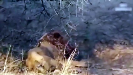 홍천추천업소【OI0↔29O8↔68O③】홍천추천업소예약♥⊆≪