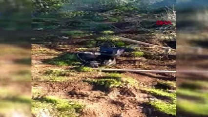 Muğla bayrak değiştirmeye gelen gençleri gören defineci kaçtı