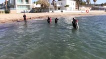 Bodrum’da deniz dibi ve sahil temizliği