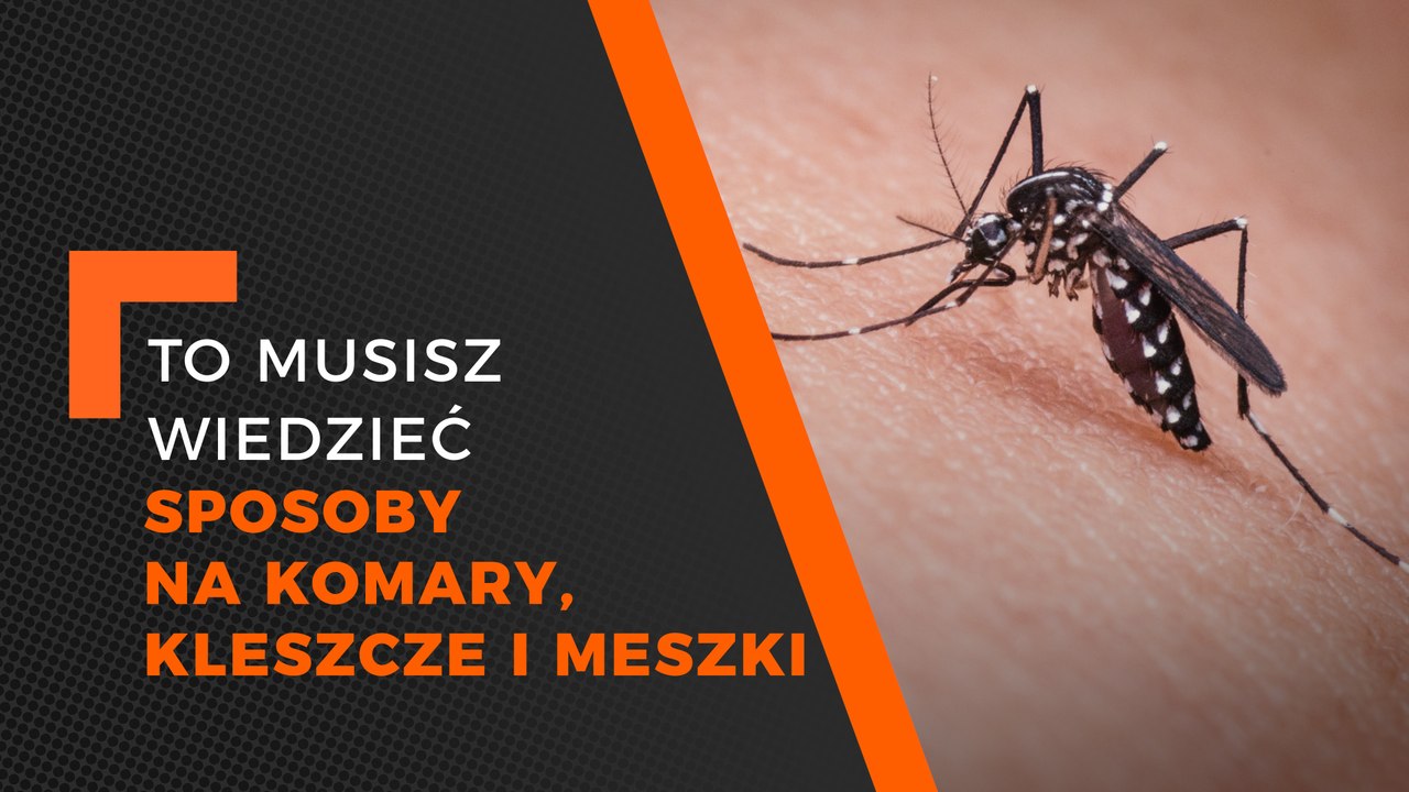 Jak się chronić przed kleszczami, komarami czy meszkami?