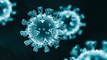 Nuevo coronavirus: manual básico de prevención
