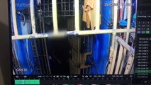 Matelândia: Vídeo mostra agente penitenciário recebendo “estocada” na cadeia pública