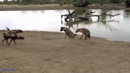 양주출장서비스 양주출장서비스O1OE2908E6803｛카톡ABC23｝ 양주출장마사지샵 양주출장안마on양주출장안마cos여3♪⇔∃마사지황형♥∦≪