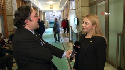 MHP'li vekilden 'Çin tuzu' açıklaması