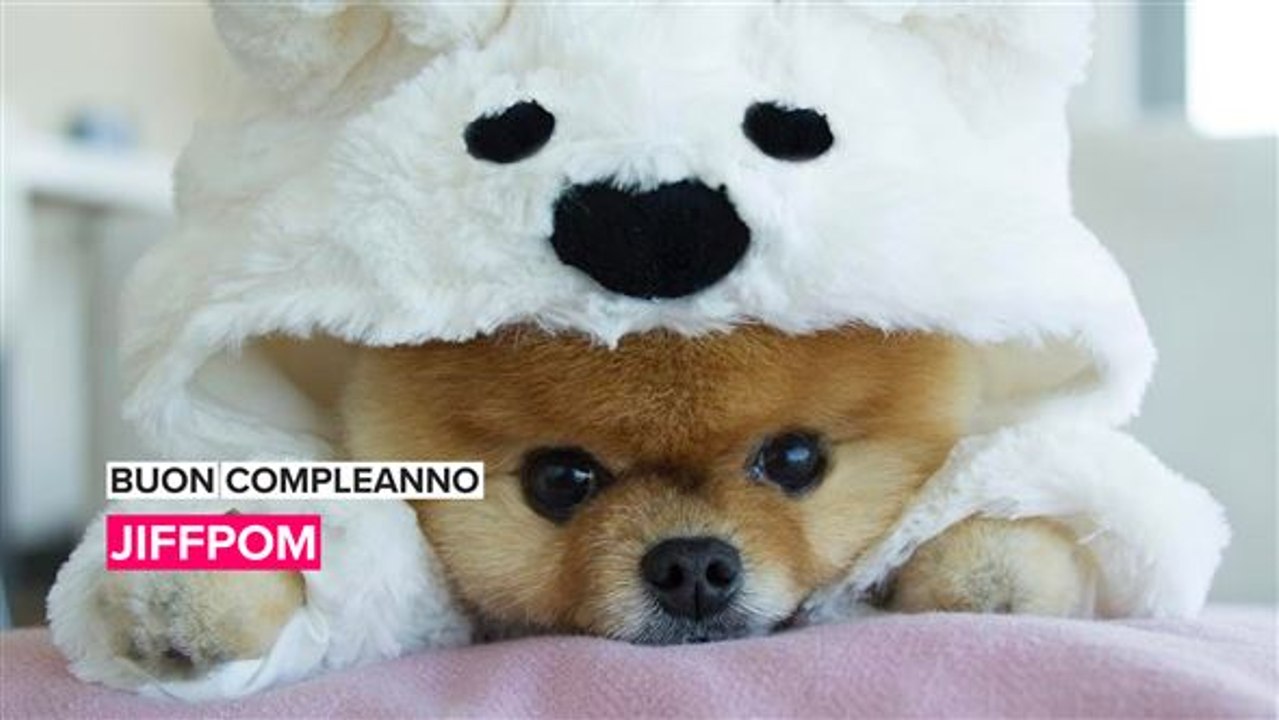 Buon compleanno JiffPom