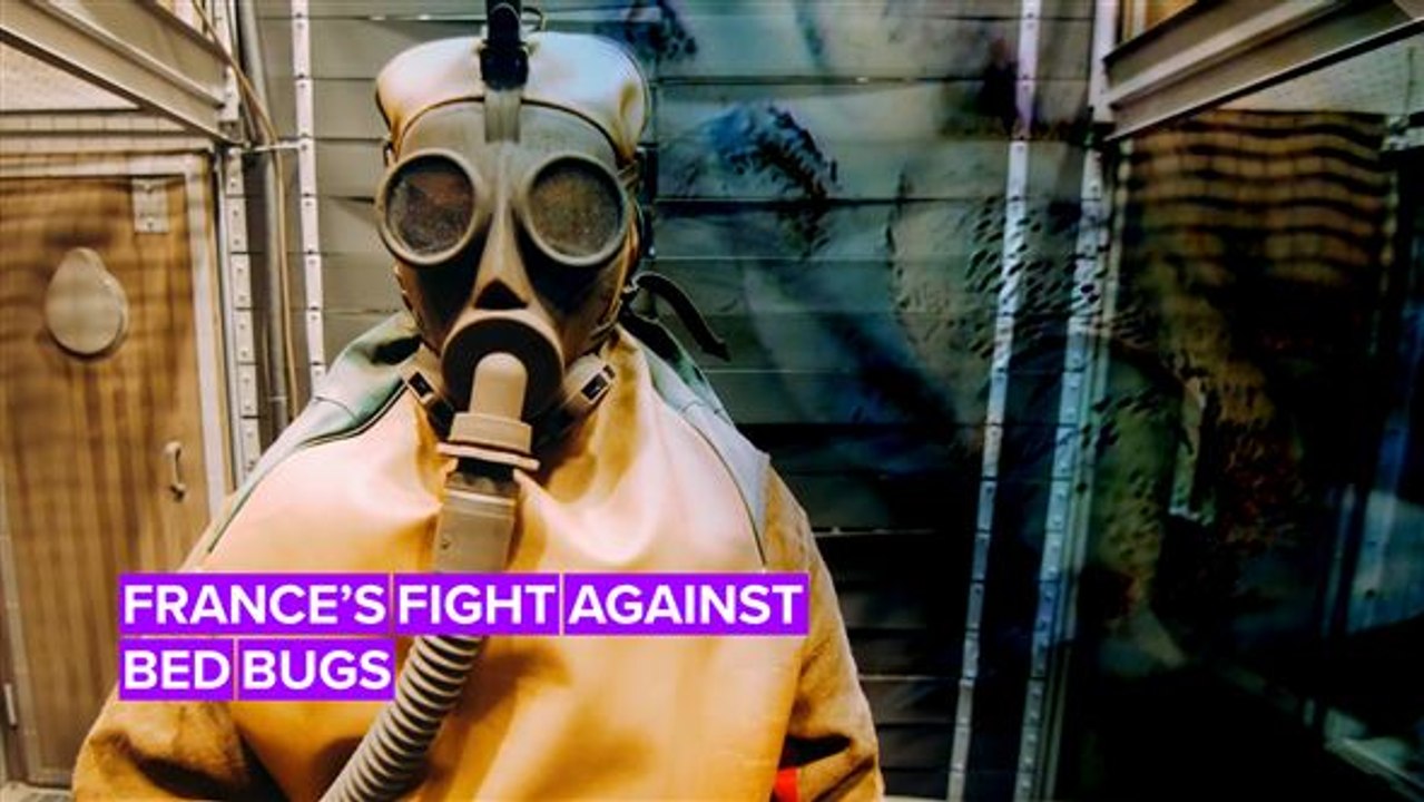 France might not have seen the bed bugs coming, but you can!