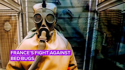 France might not have seen the bed bugs coming, but you can!