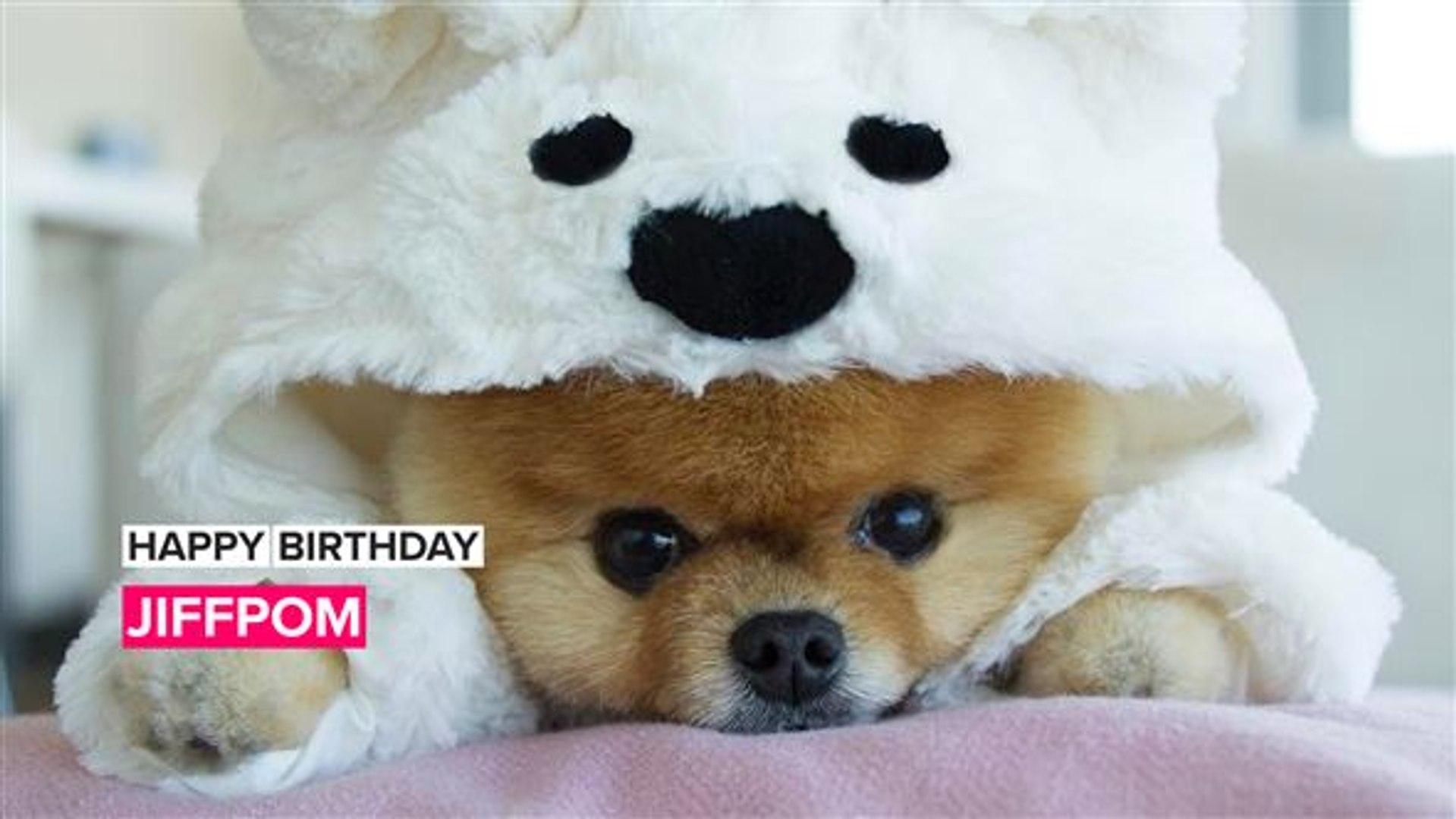 How cute is 10 year old JiffPom